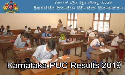 karnataka puc result 2019